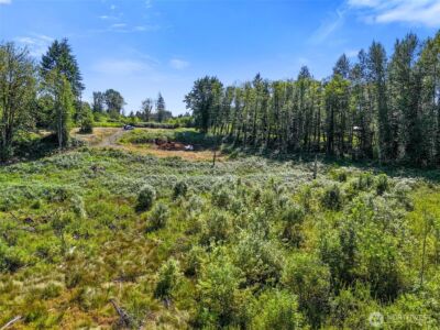 233 Young Road , Mossyrock, WA 98564 - Photo 8