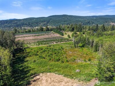 233 Young Road , Mossyrock, WA 98564 - Photo 10