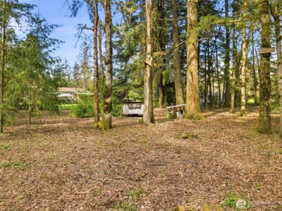 17710 Mima Acres Drive SE, Tenino, WA 98589 - Photo 30