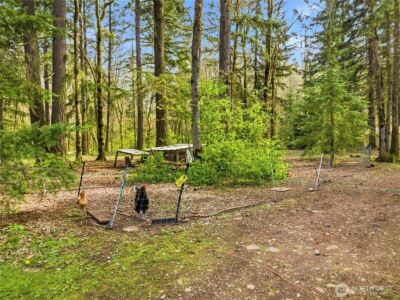 17710 Mima Acres Drive SE, Tenino, WA 98589 - Photo 31