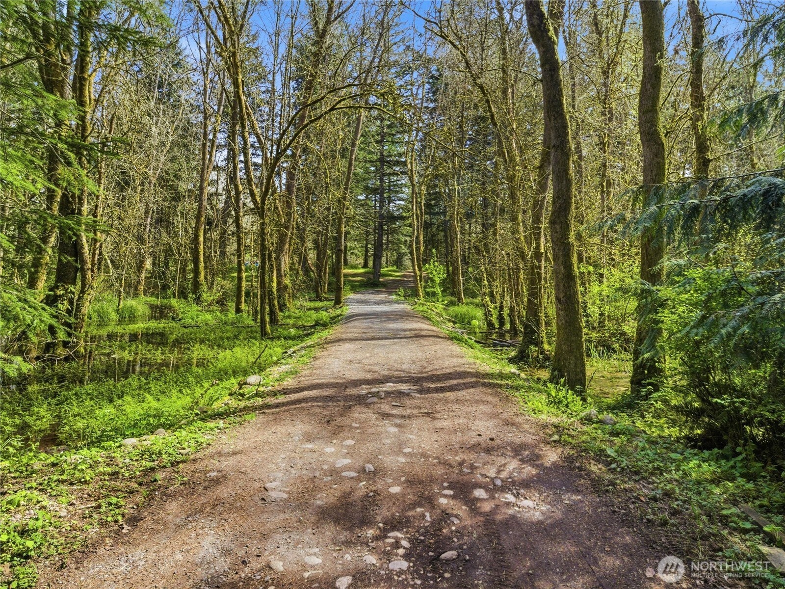 17710 Mima Acres Drive SE, Tenino, WA 98589