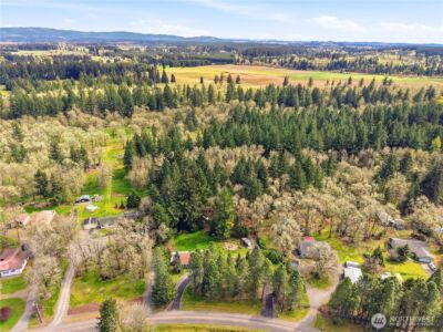 17710 Mima Acres Drive SE, Tenino, WA 98589 - Photo 38