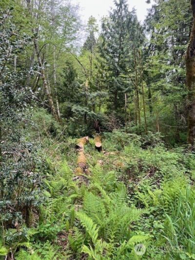 14500 Park Dr SE, Port Orchard, WA 98367 - Photo 3