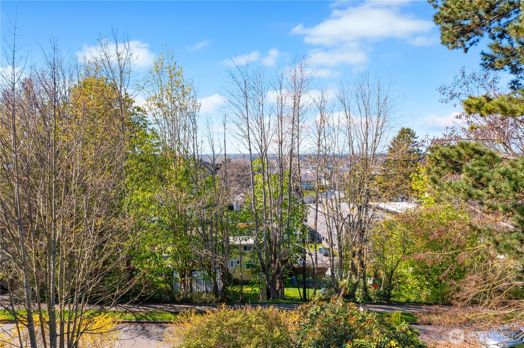 1000 Jersey Street #A & B, Bellingham, WA 98225