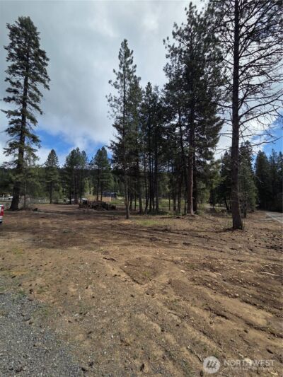 3 Double O Road , Ronald, WA 98940 - Photo 8