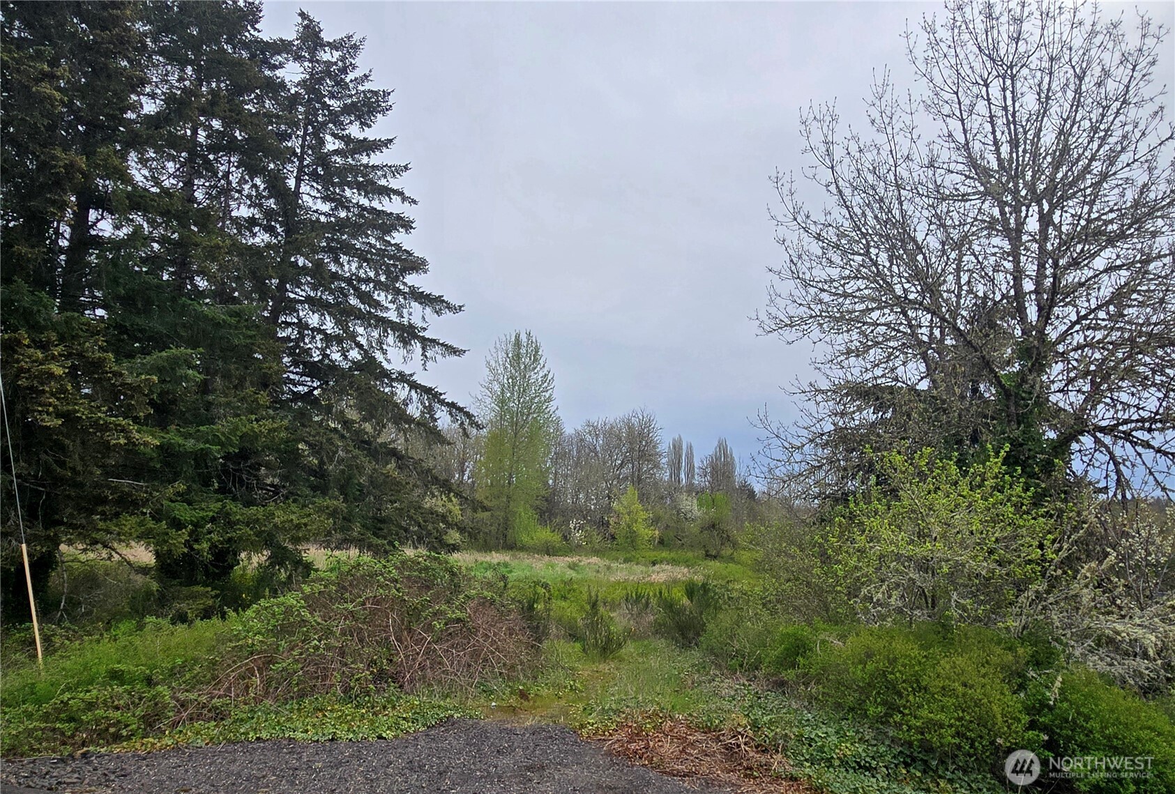 198 Chandler Road , Doty, WA 98539