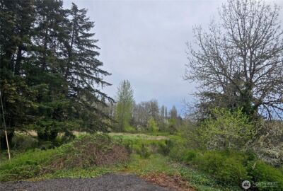 198 Chandler Road , Doty, WA 98539 - Photo 1