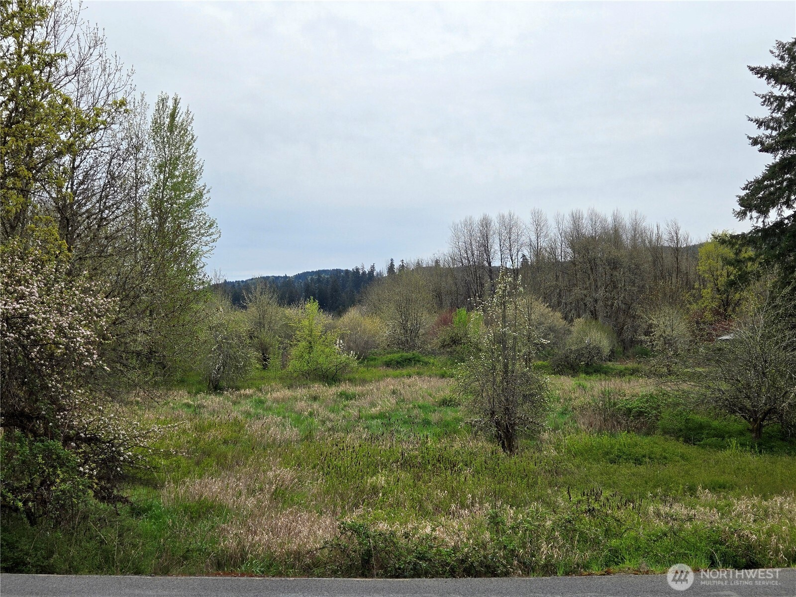 198 Chandler Road , Doty, WA 98539