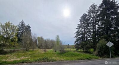 198 Chandler Road , Doty, WA 98539 - Photo 3