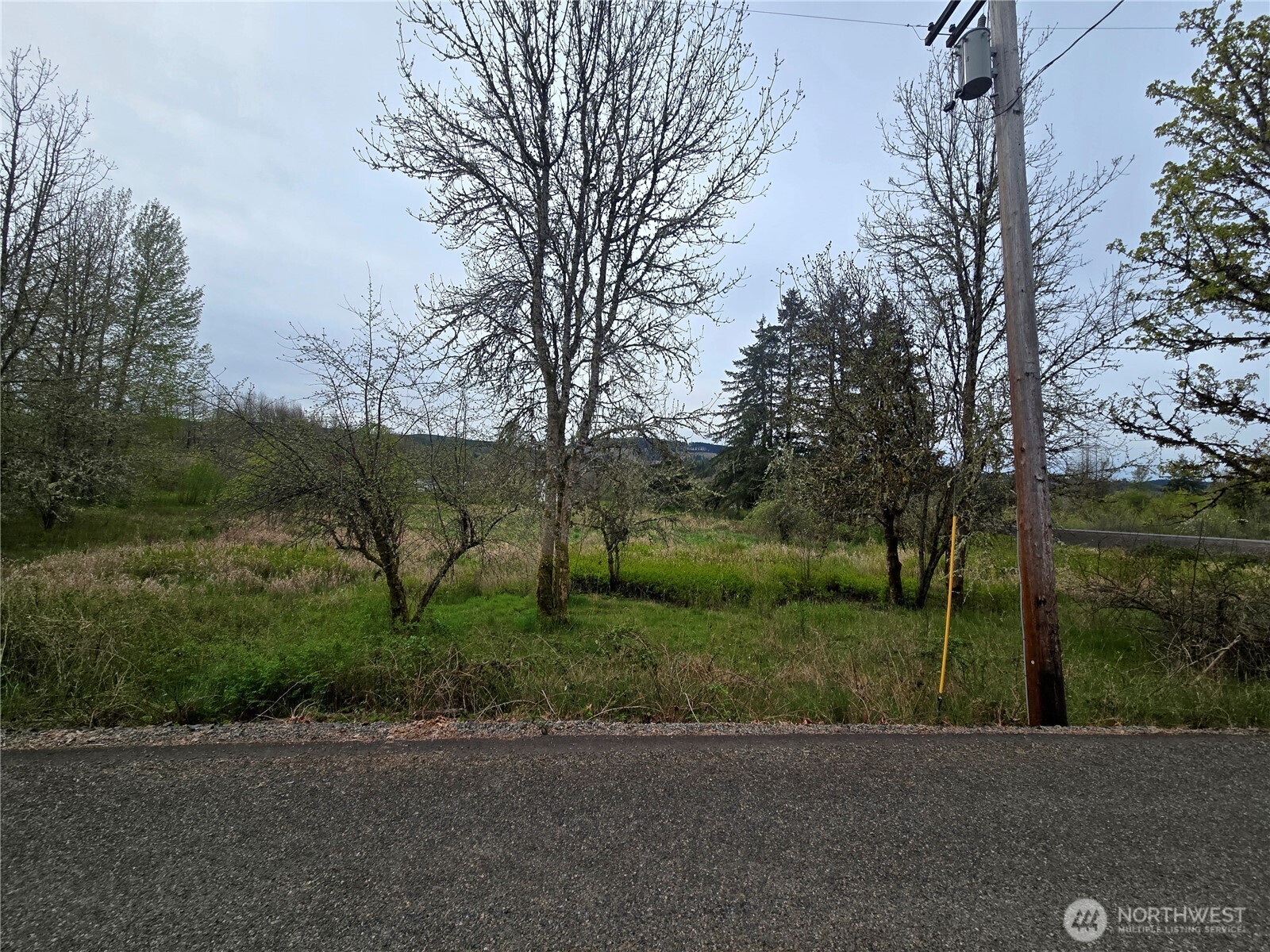 198 Chandler Road , Doty, WA 98539