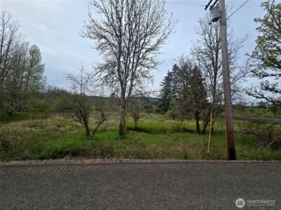 198 Chandler Road , Doty, WA 98539 - Photo 4