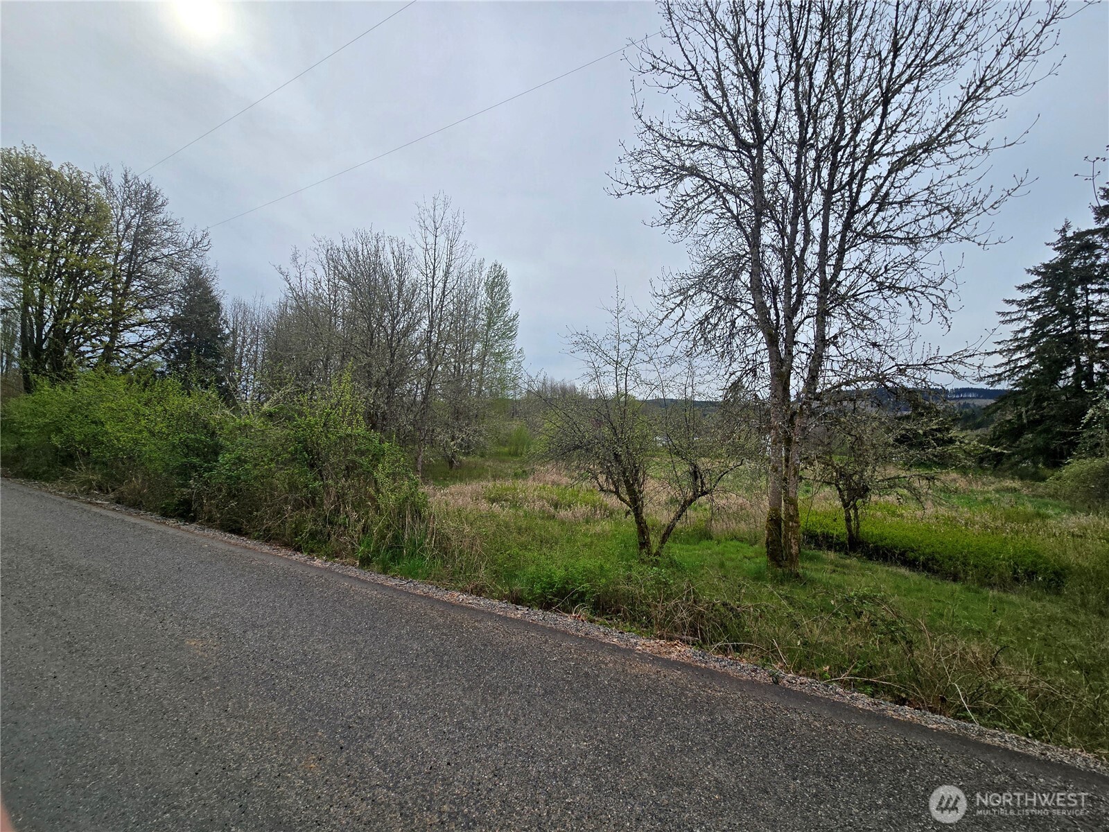 198 Chandler Road , Doty, WA 98539