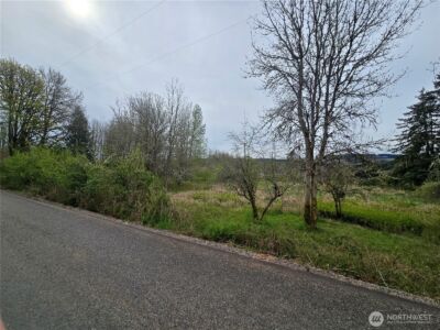 198 Chandler Road , Doty, WA 98539 - Photo 5