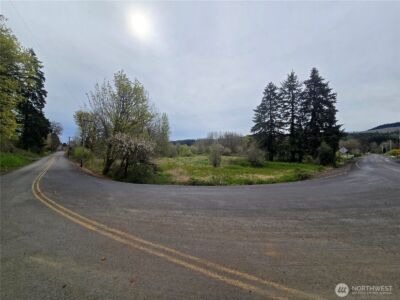 198 Chandler Road , Doty, WA 98539 - Photo 6