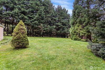10407 206th Avenue NE, Redmond, WA 98053 - Photo 26