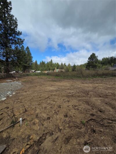 5 Double O Road , Ronald, WA 98940 - Photo 6