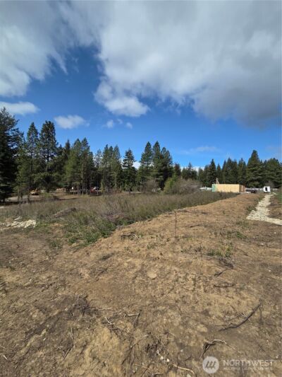 5 Double O Road , Ronald, WA 98940 - Photo 7
