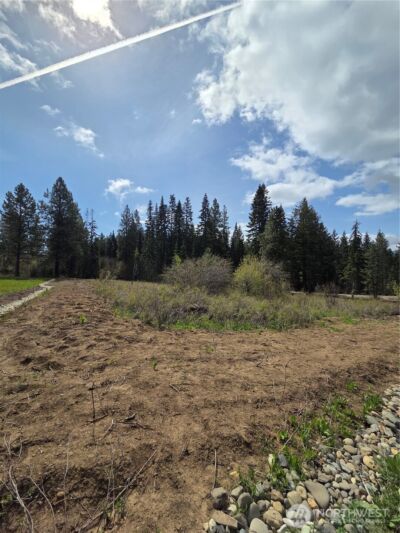 5 Double O Road , Ronald, WA 98940 - Photo 9