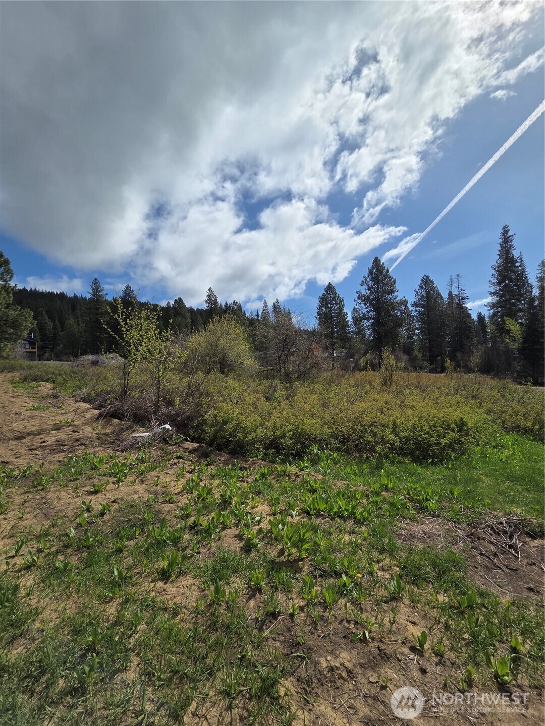 5 Double O Road , Ronald, WA 98940