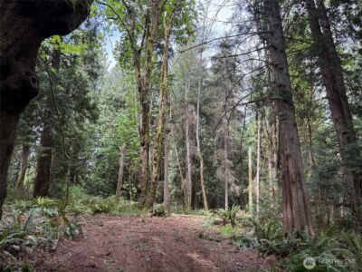 16230 Agate Pass Road #LOT B, Bainbridge Island, WA 98110 - Photo 2