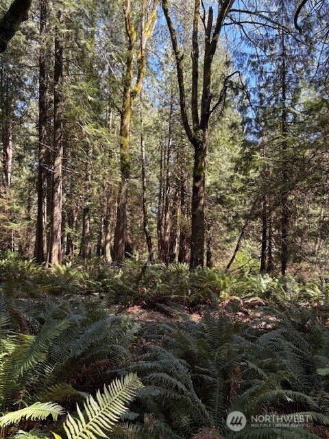 16230 Agate Pass Road #LOT B, Bainbridge Island, WA 98110