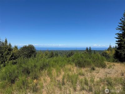 596 Watershed , Port Angeles, WA 98362 - Photo 11