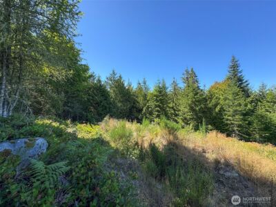 596 Watershed , Port Angeles, WA 98362 - Photo 26