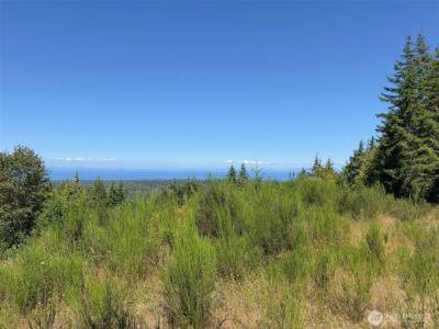 596 Watershed , Port Angeles, WA 98362 - Photo 27