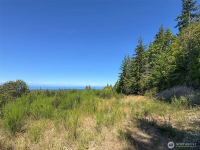 596 Watershed , Port Angeles, WA 98362 - Photo 28