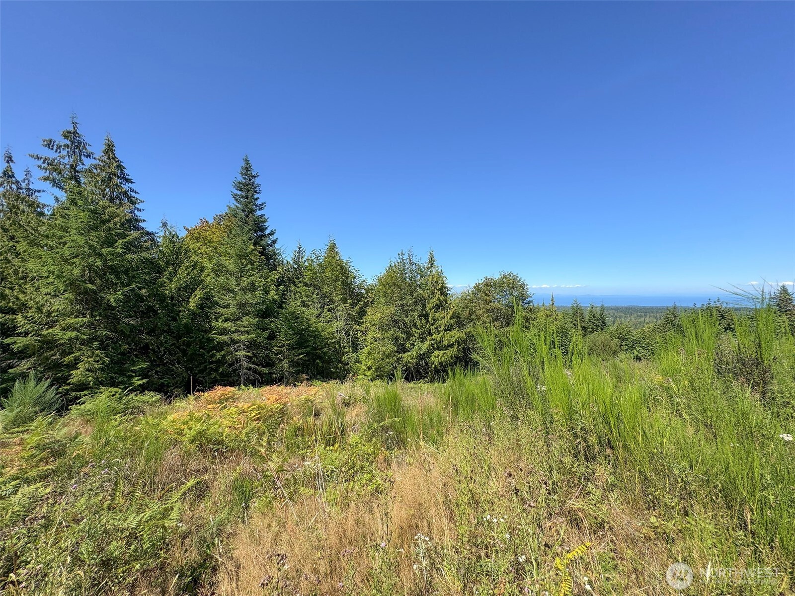 596 Watershed , Port Angeles, WA 98362