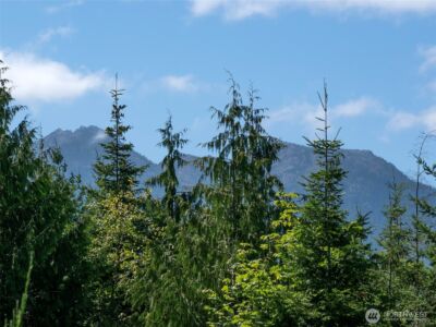 596 Watershed , Port Angeles, WA 98362 - Photo 30