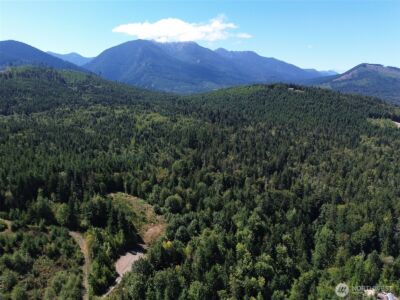596 Watershed , Port Angeles, WA 98362 - Photo 33