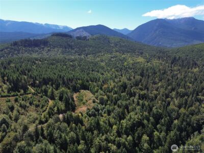 596 Watershed , Port Angeles, WA 98362 - Photo 34