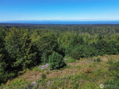 596 Watershed , Port Angeles, WA 98362 - Photo 37