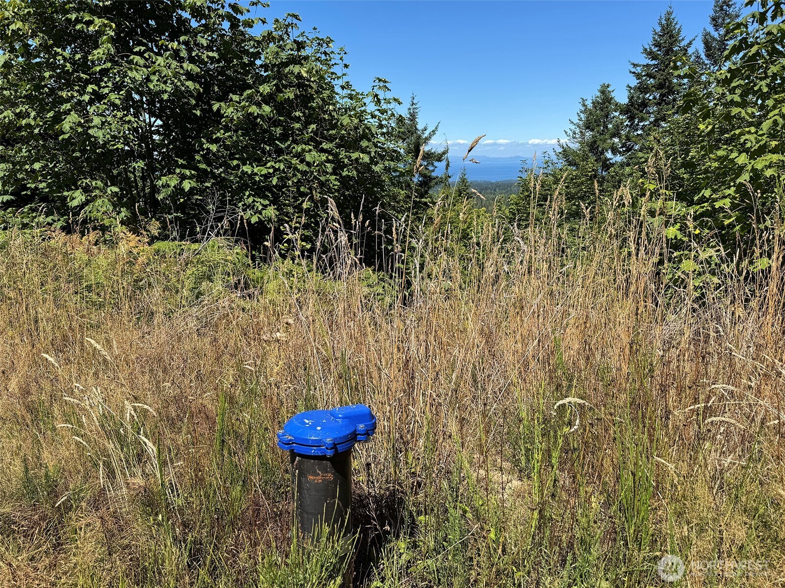 596 Watershed , Port Angeles, WA 98362