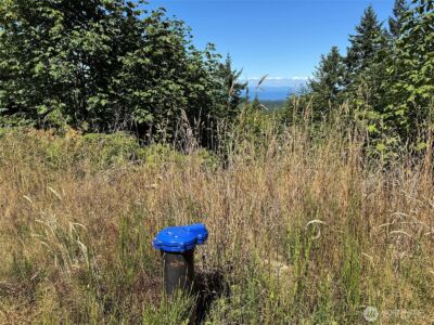 596 Watershed , Port Angeles, WA 98362 - Photo 9