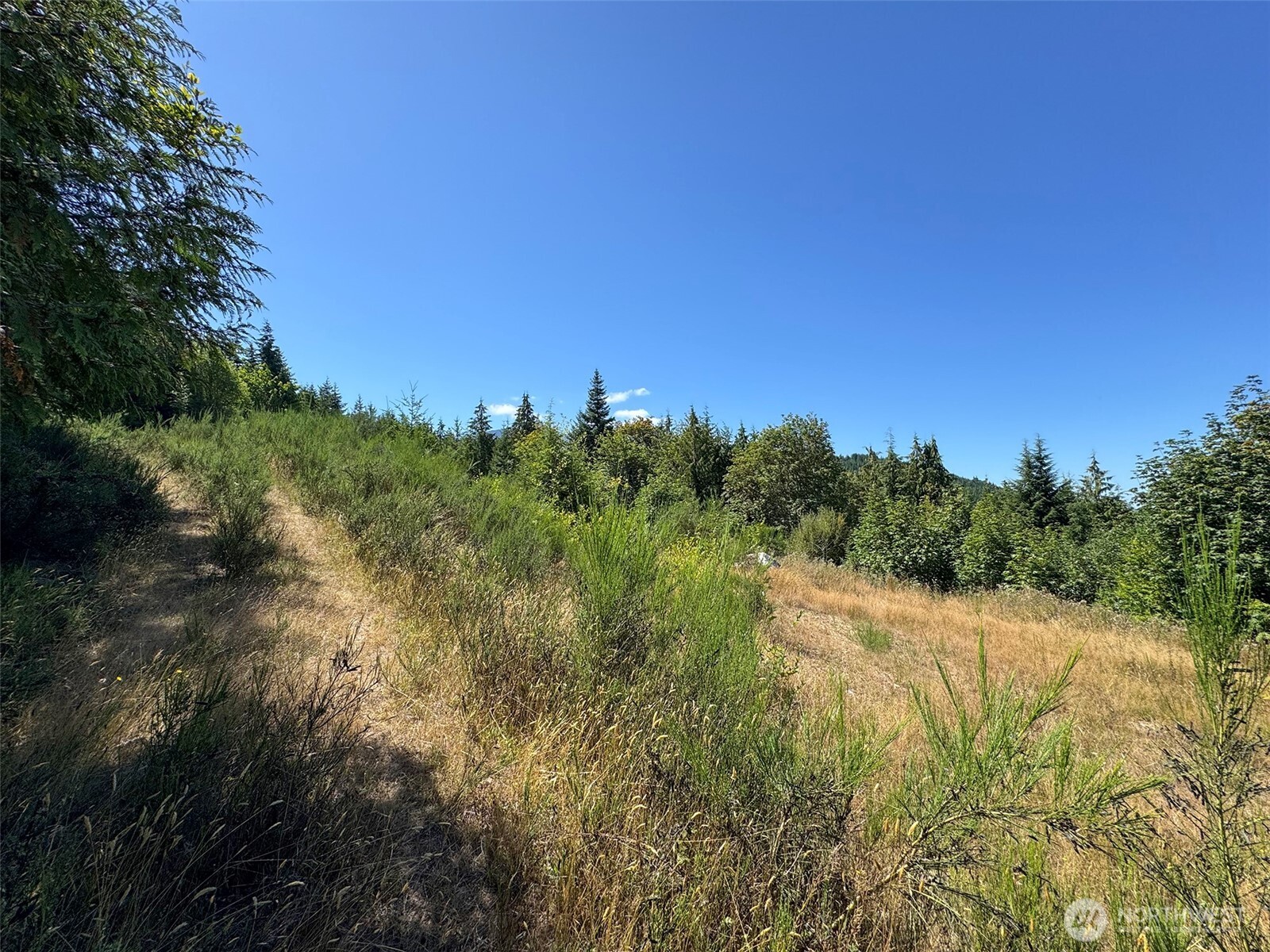 596 Watershed , Port Angeles, WA 98362