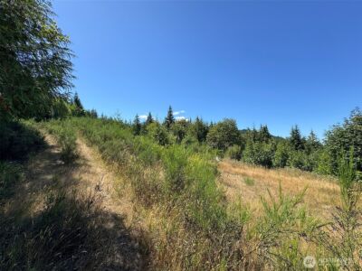 596 Watershed , Port Angeles, WA 98362 - Photo 10