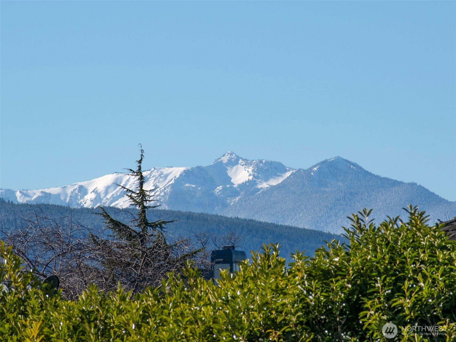 955 N 5th Avenue , Sequim, WA 98382