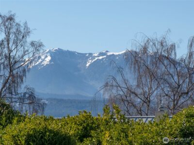 955 N 5th Avenue , Sequim, WA 98382 - Photo 7