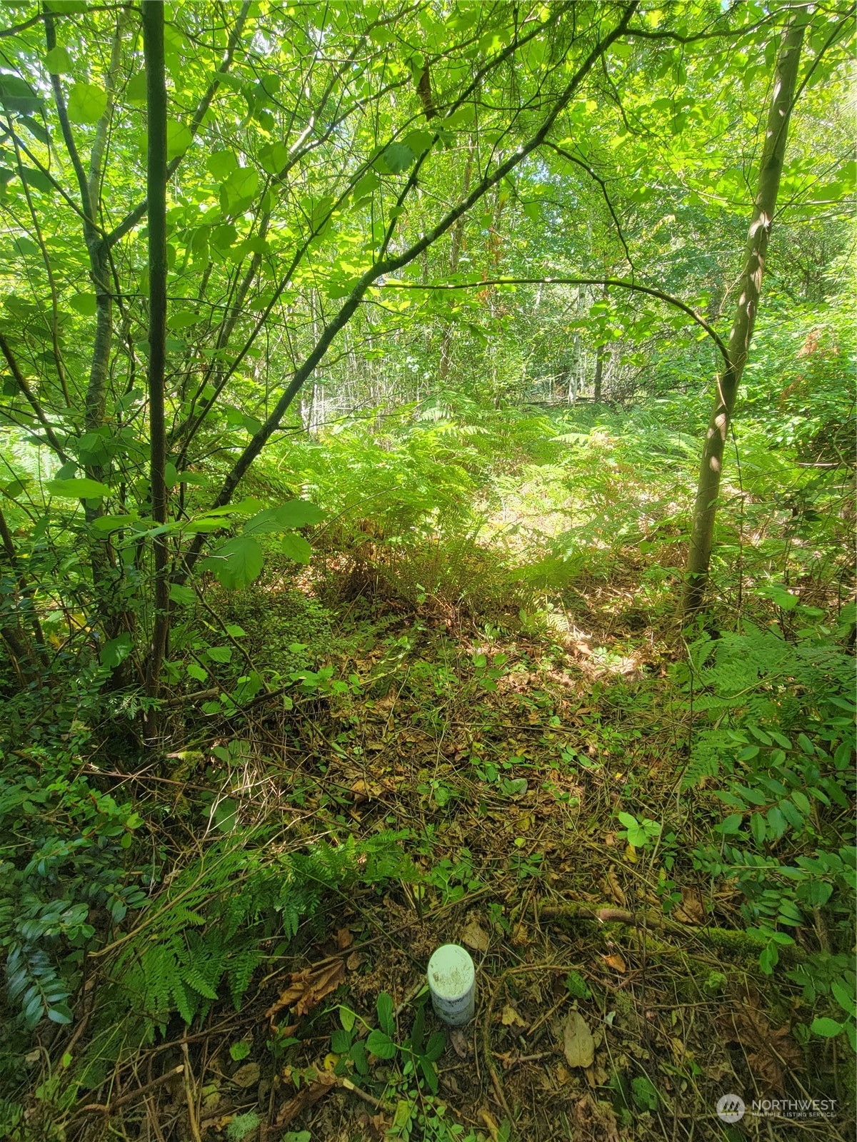 930 E Wilson Way , Grapeview, WA 98546