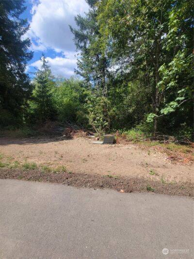 930 E Wilson Way , Grapeview, WA 98546 - Photo 13