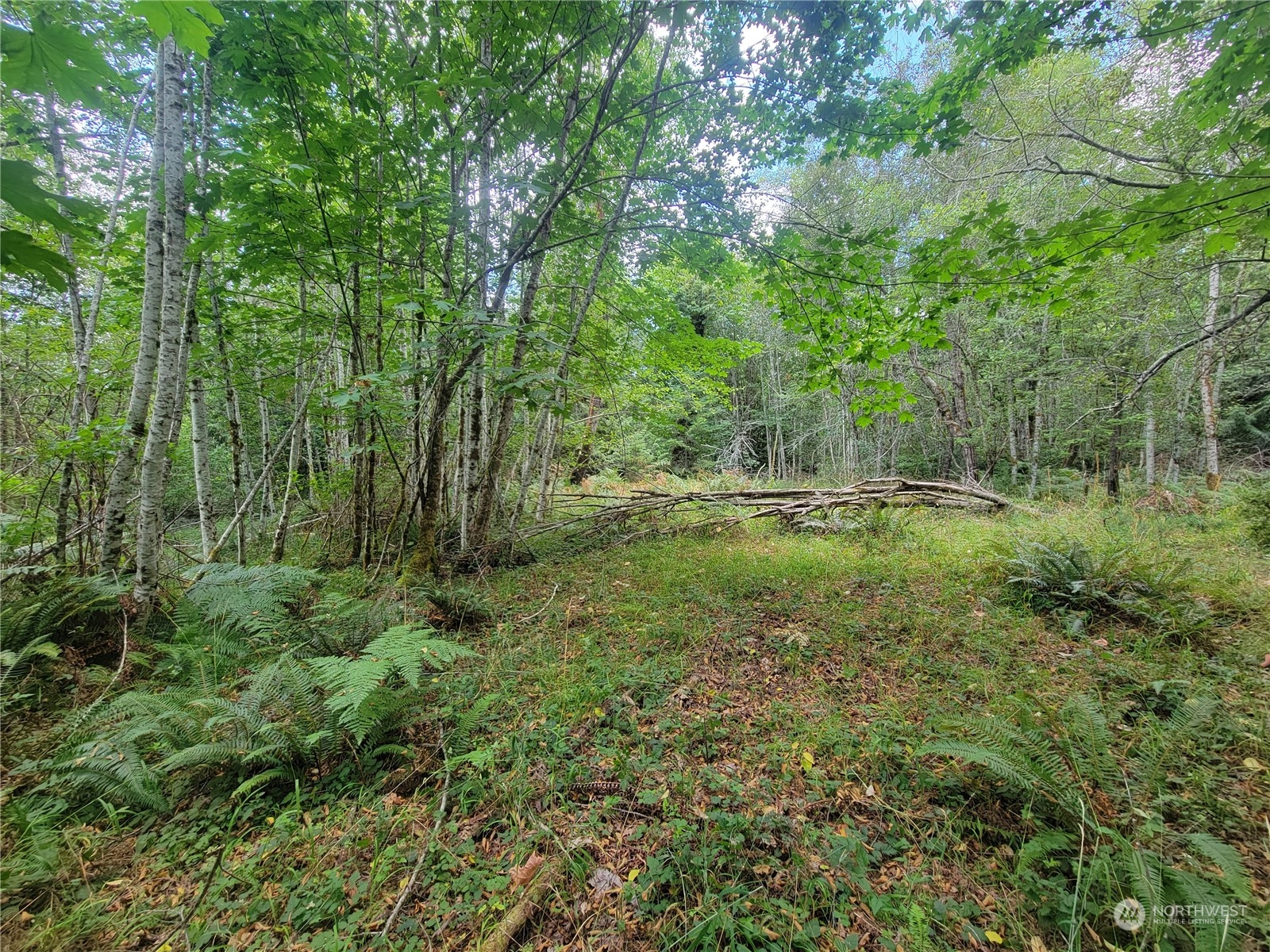 930 E Wilson Way , Grapeview, WA 98546