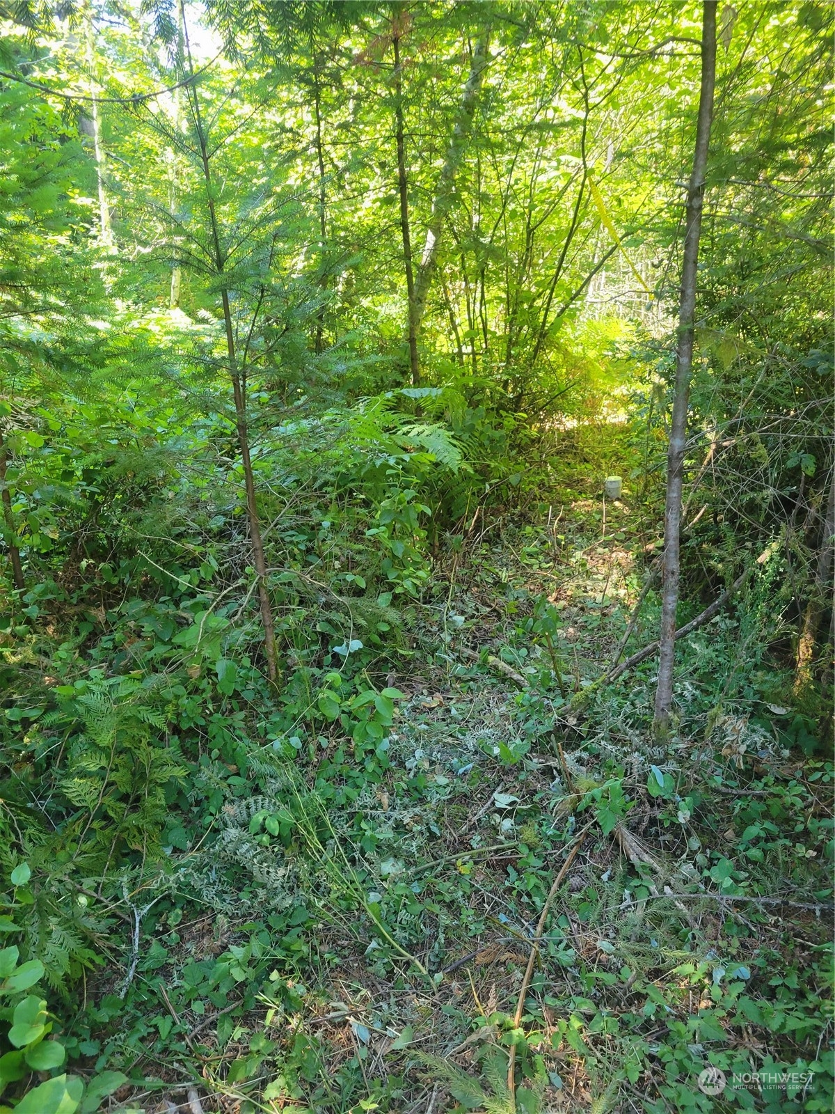 930 E Wilson Way , Grapeview, WA 98546