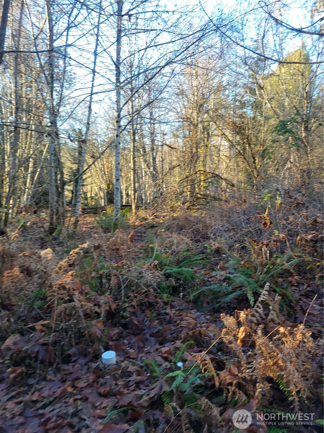 930 E Wilson Way , Grapeview, WA 98546
