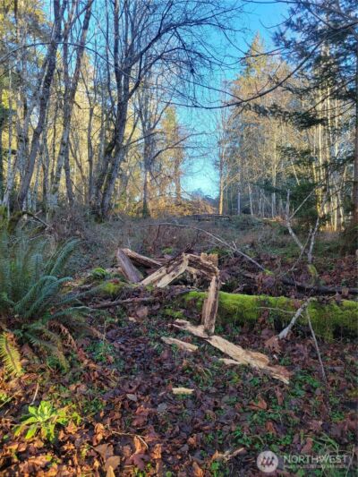 930 E Wilson Way , Grapeview, WA 98546 - Photo 23