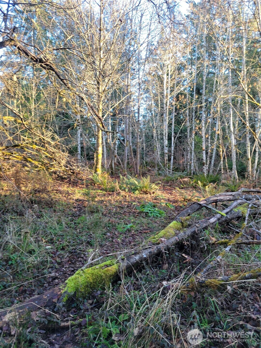 930 E Wilson Way , Grapeview, WA 98546