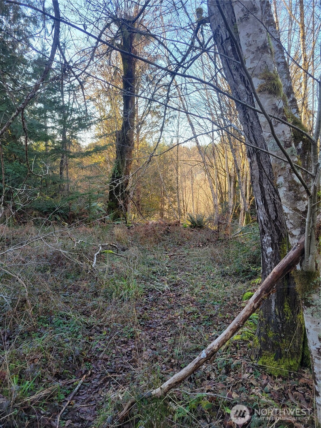 930 E Wilson Way , Grapeview, WA 98546