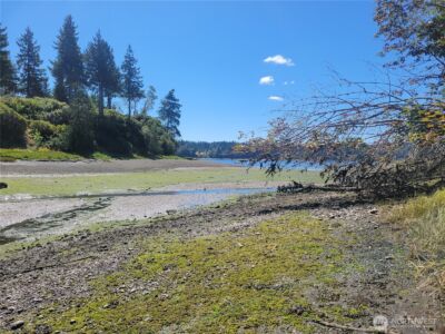 930 E Wilson Way , Grapeview, WA 98546 - Photo 26