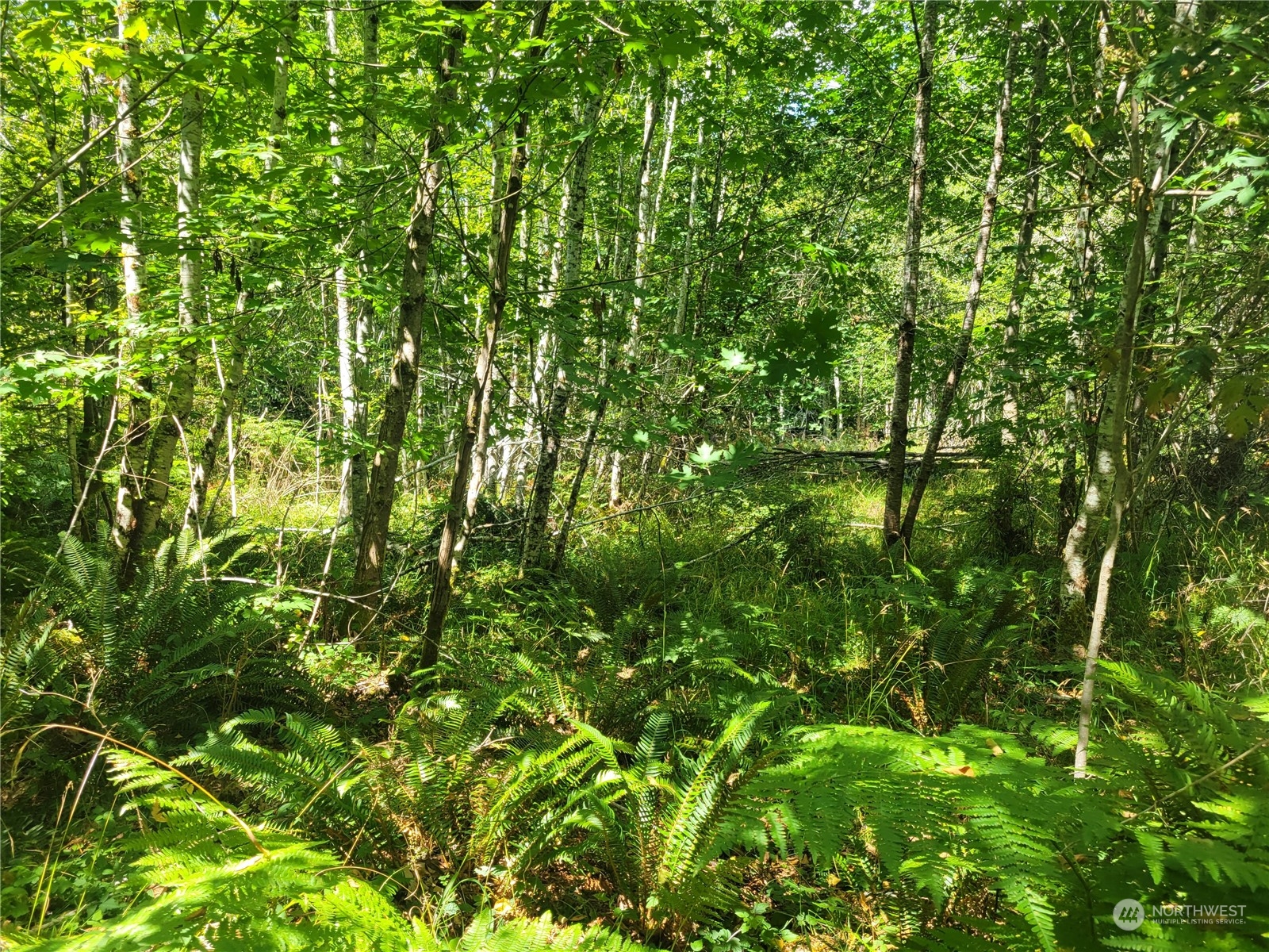 930 E Wilson Way , Grapeview, WA 98546